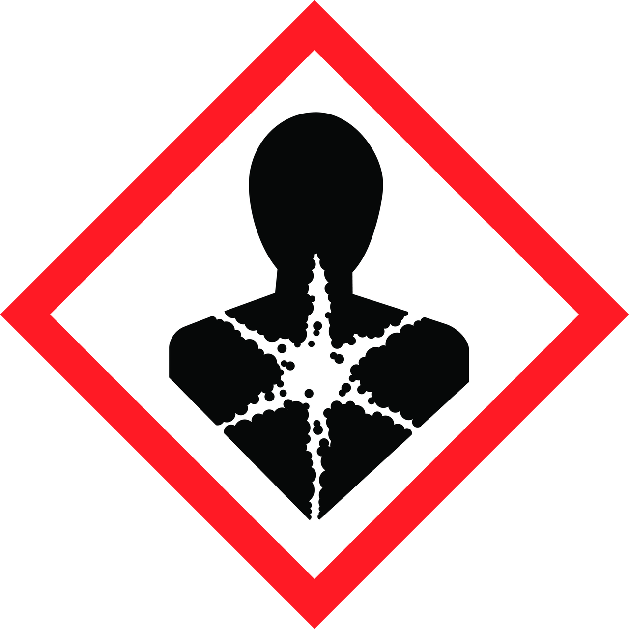GHS08 Long-term health hazard
