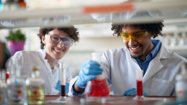 Colleagues working in laboratory